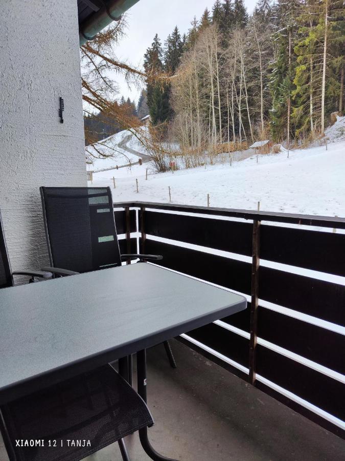 Apartmán Weideglueck-Zentral-Dampfdusche Oberstaufen Exteriér fotografie